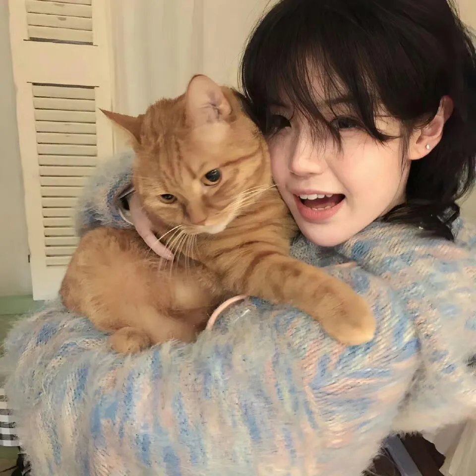 猫眼